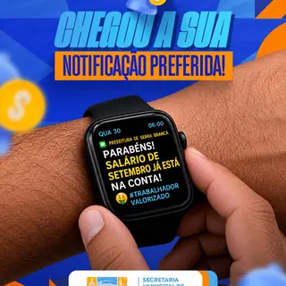 Notificação preferida ativada com sucesso! ✅💰